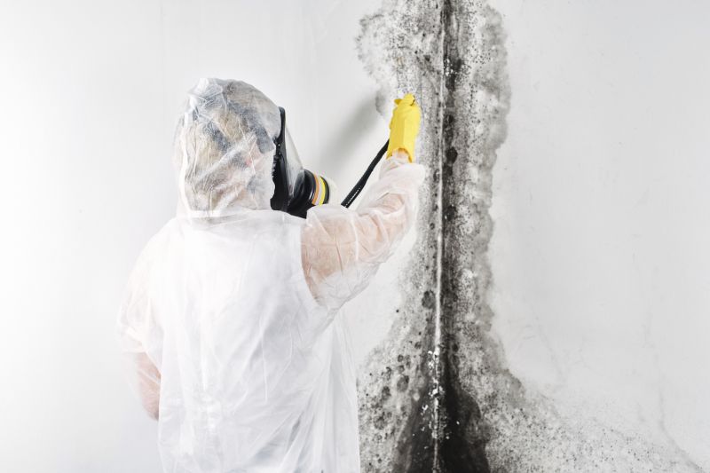 Crawl Space Mold Removal in Fort Worth, TX