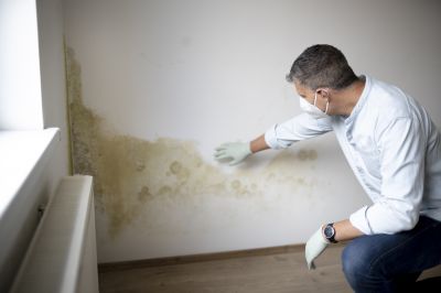 Mold Abatement Service in Fort Worth, TX