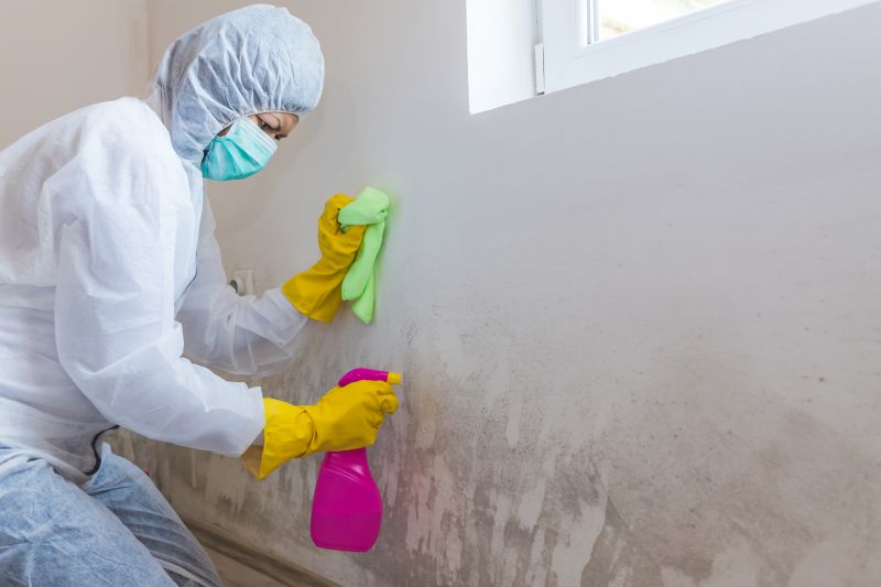 Mold Cleanup Service in Fort Lauderdale, FL