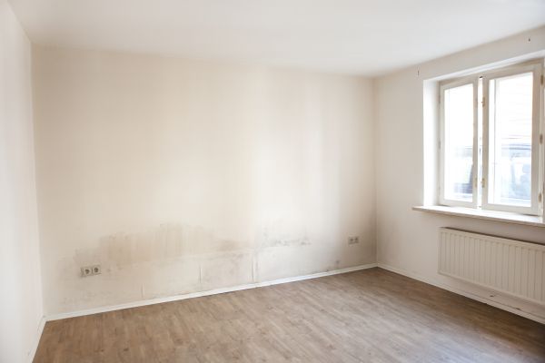 Mildew Cleaning