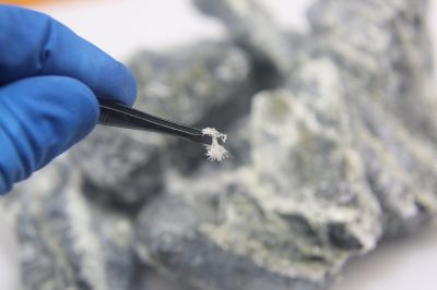 Asbestos Inspection Service in Bergen County, NJ