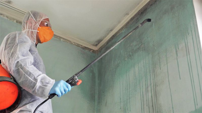 Basement Mold Remediation in Broward County, FL