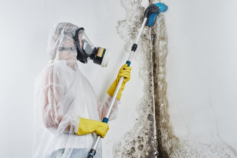 Ceiling Mold Removal in Jupiter, FL