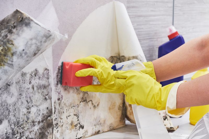 Garage Mold Remediation in Frisco, TX