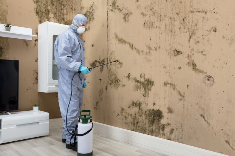 Mold Abatement in Weatherford, TX