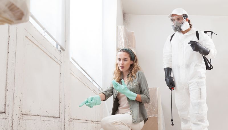 Mold Detection And Remediation