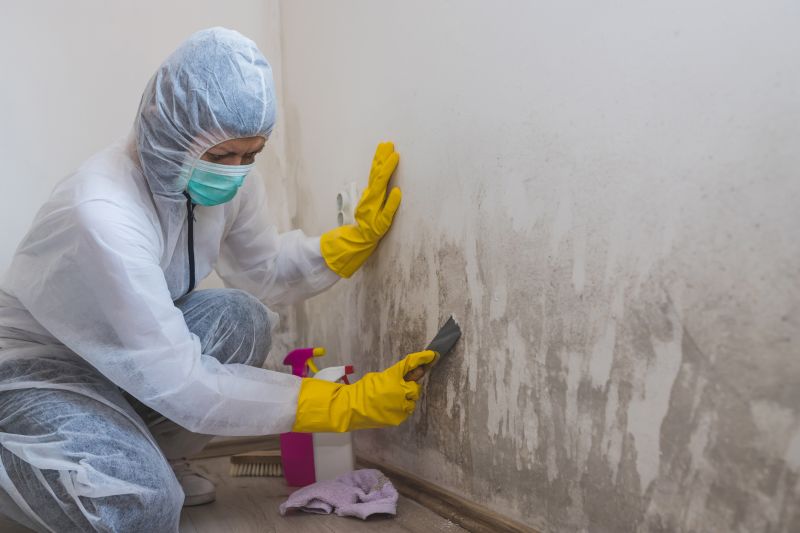 Mold Detection And Remediation