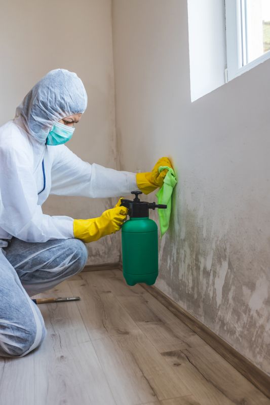 Mold Detection And Remediation