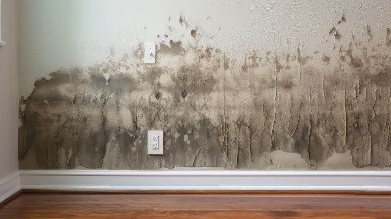Mold Damage