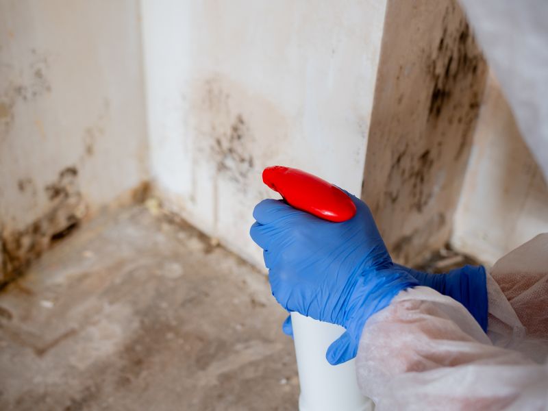 Products For Mold Detection And Remediations in use