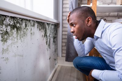 Mold Growth in Hidden Areas