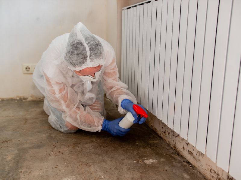 Mold Detection And Remediation